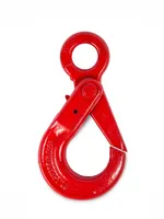 Крюк самозакрывающийся с проушиной TOR 3,15 т (Q), TOR Industries, Карабины и крюки