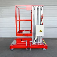 Мачтовые подъемники ZX-1-060 ZX-1-060, OXLIFT, Строительные подъёмники