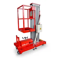 Мачтовые подъемники ZX-1-100 ZX-1-100, OXLIFT, Строительные подъёмники
