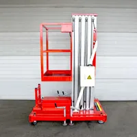 Мачтовые подъемники ZX-1-100 ZX-1-100, OXLIFT, Строительные подъёмники