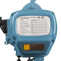 Таль электрическая цепная GEARSEN HHBD 1060 DS двухскоростная, GEARSEN, Тали электрические