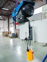 Таль электрическая TOR PA 500/1000 кг 20/10 м, TOR Industries, Тали электрические
